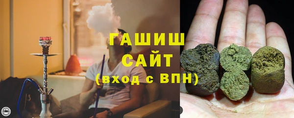 прущие грибы Белокуриха