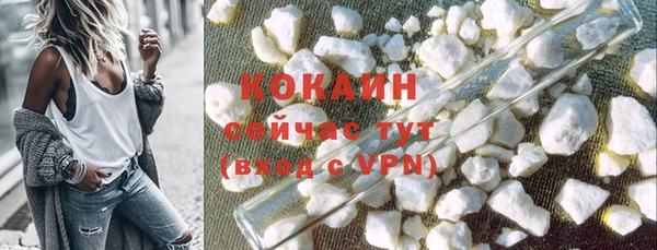 шишки Беломорск