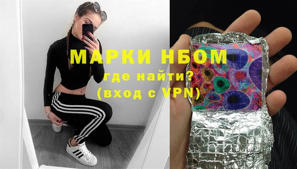 шишки Беломорск