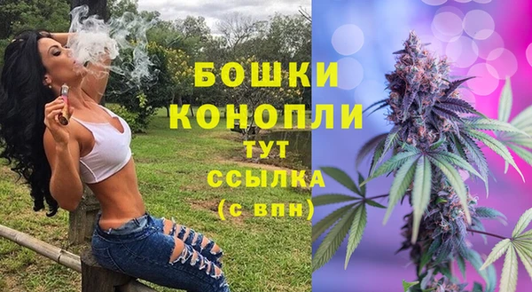 прущие грибы Белокуриха