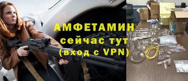 шишки Беломорск