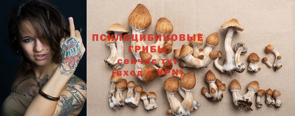 шишки Беломорск