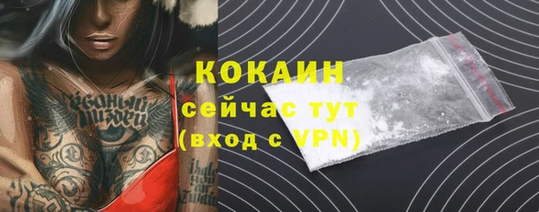 шишки Беломорск