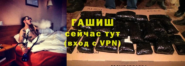 прущие грибы Белокуриха