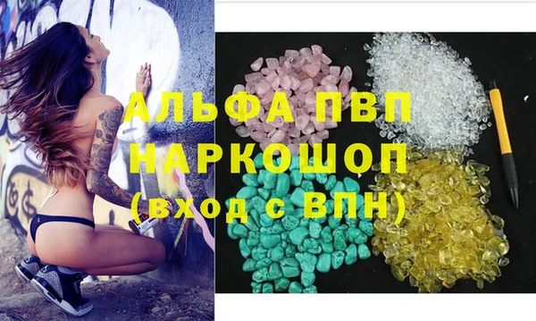 шишки Беломорск