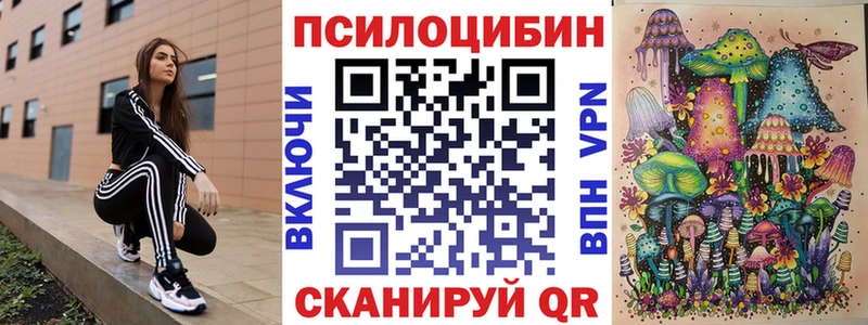 даркнет сайт  Гай  нарко площадка клад  Псилоцибиновые грибы мицелий 